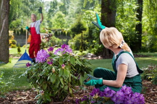 Beautifully landscaped garden with vibrant flowers and greenery