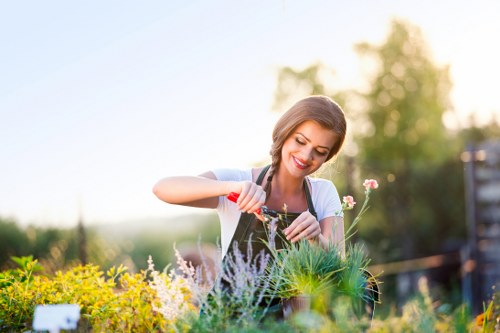 Beautiful Mascot garden showcasing vibrant flowers and greenery