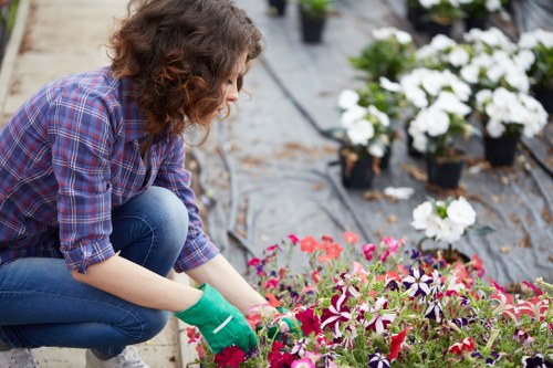 Tools and equipment for gardening in Ringwood