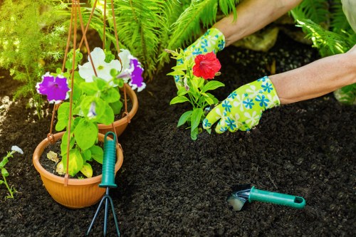 Variety of plants suitable for Bonnet Bay climate