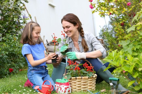 Sunlit garden beds in Ava