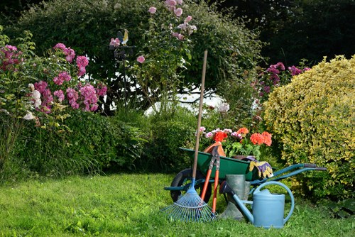 Professional gardening services enhancing Corinda landscapes