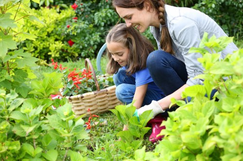 Garden planning in a Narre Warren North backyard with various plants