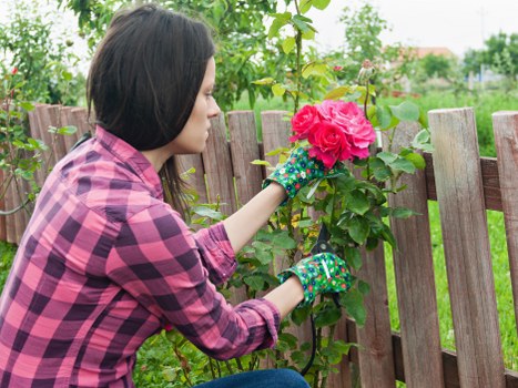 Home garden preparation in Kingsbury