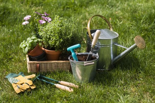 A vibrant garden showcasing diverse plants and flowers