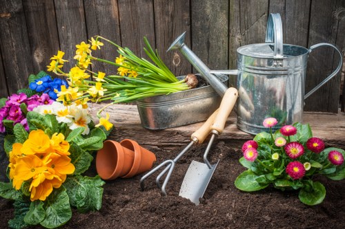 Selection of popular plants suitable for Blackburn South gardens