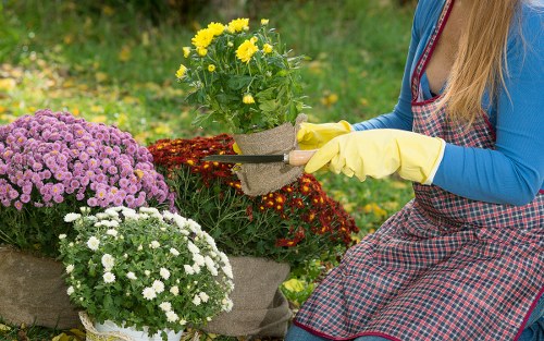 Landscape design in Heidelberg Heights community