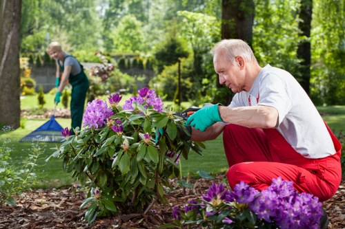 Essential gardening tools arranged in a Joondalup garden