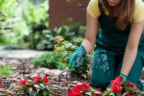 Corinda’s fertile soil and sunny climate ideal for gardening