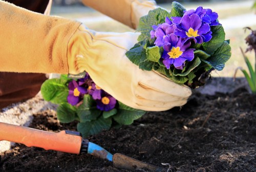 Local garden center in Kooyong