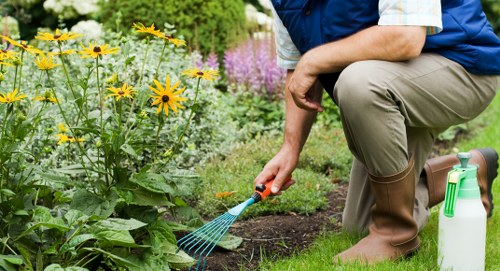 Professional landscaping services working in an East Killara garden