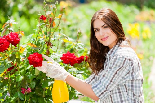 Seasonal flowers blooming in a well-maintained Ringwood East garden