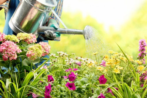 Drip irrigation system in a Bull Creek garden