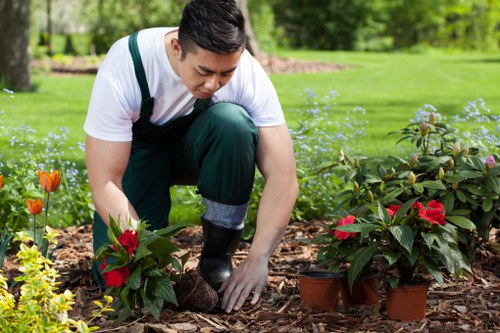 Gardener tending to a thriving garden