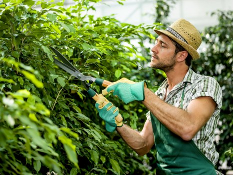 Ava Gardening team planning decking project