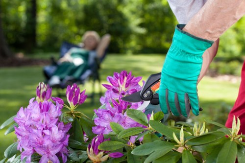 Healthy soil preparation for Ripponlea gardens