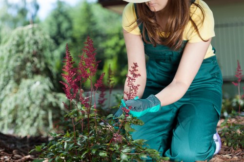 Professional gardeners maintaining a lush garden