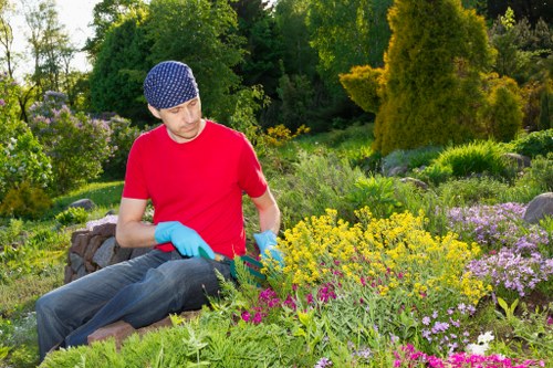 Diverse flora attracting birds and butterflies in an East Killara garden