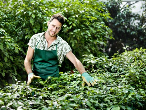 Eco-friendly garden with efficient irrigation system