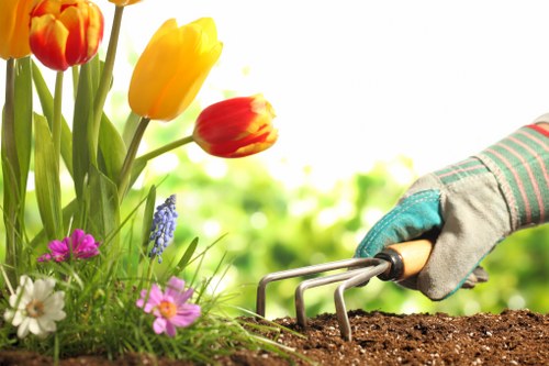 Gardener designing a sustainable garden layout in Abbotsford