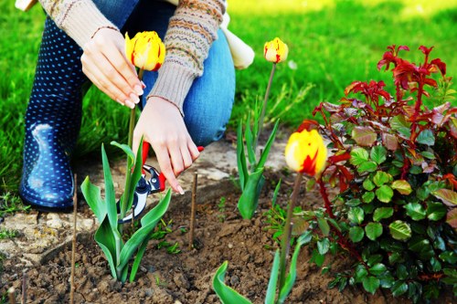 Local nurseries in Donvale offering a variety of plants