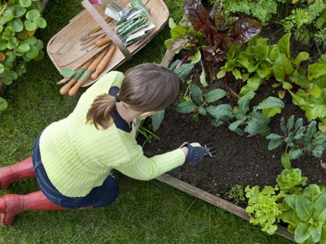 Gardening tools for Heidelberg Heights enthusiasts