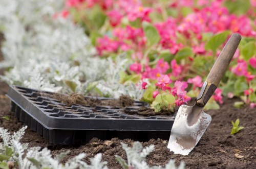 Healthy soil preparation for successful gardening in Hamilton