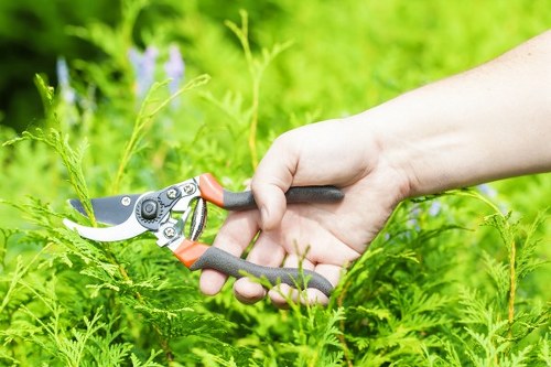 Community garden in Artarmon with residents tending to plants