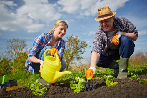 Eco-friendly practices implemented by Ava Gardening