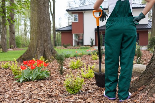 Garden maintenance in Mascot with tools and plants