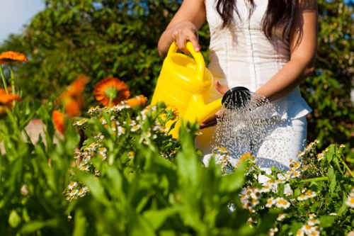 Selection of vibrant flowers and vegetables in a Keilor East garden