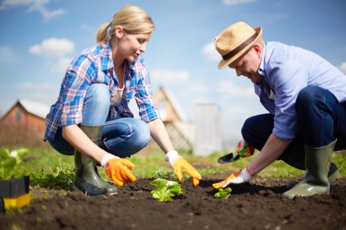 Preparing soil for a lush garden in Villawood