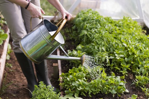 Community garden in Enoggera with residents planting together