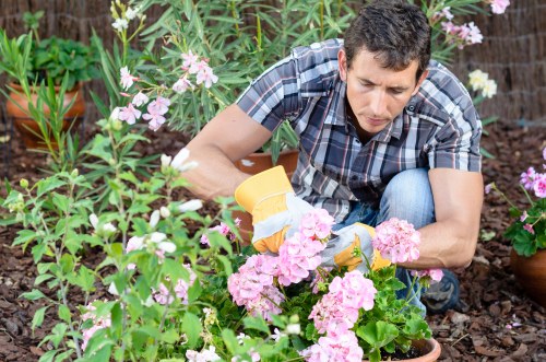 Variety of plants suitable for Bull Creek climate