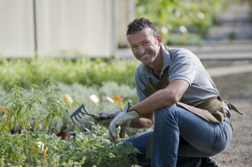 Garden planning layout with sunlight and soil assessments