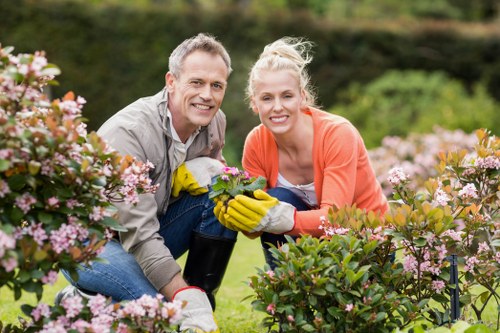 Lush and vibrant garden maintained by Ava Gardening